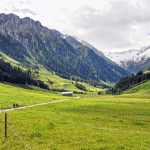 view into the Schoenachtal valley (2009)_585927455