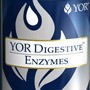 ico_digEnzymes.jpg