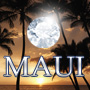 ico_maui.jpg