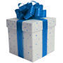 ico_present_blue.jpg