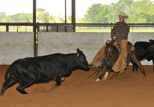 Robert Albert Johnson, Jr.