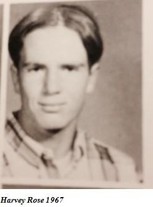 Harvey Rose