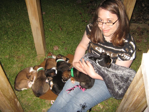 Rachel Elizabeth Reed