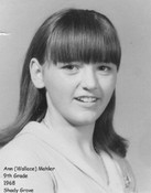 Ann Wallace