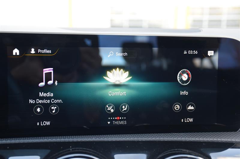 2019 Mercedes-Benz A 220 4MATIC, 多伦多, 全款车