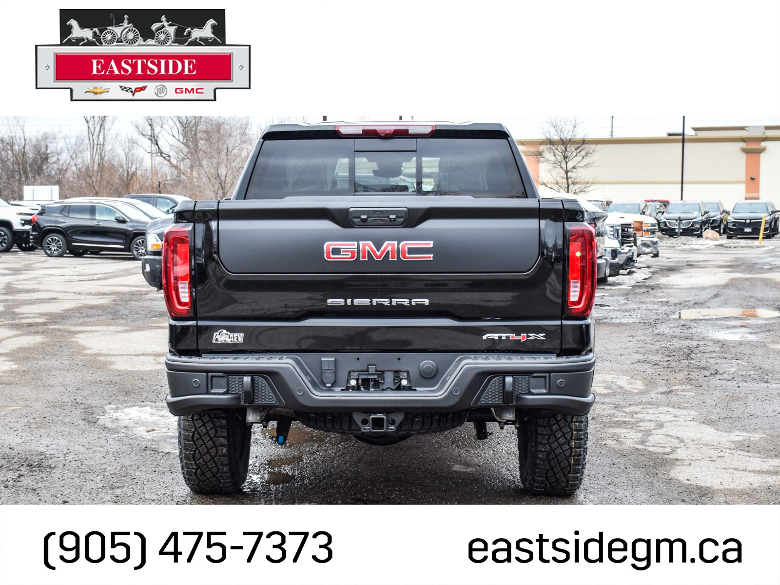 2024 GMC Sierra 1500 AT4X, 多伦多, 全款车