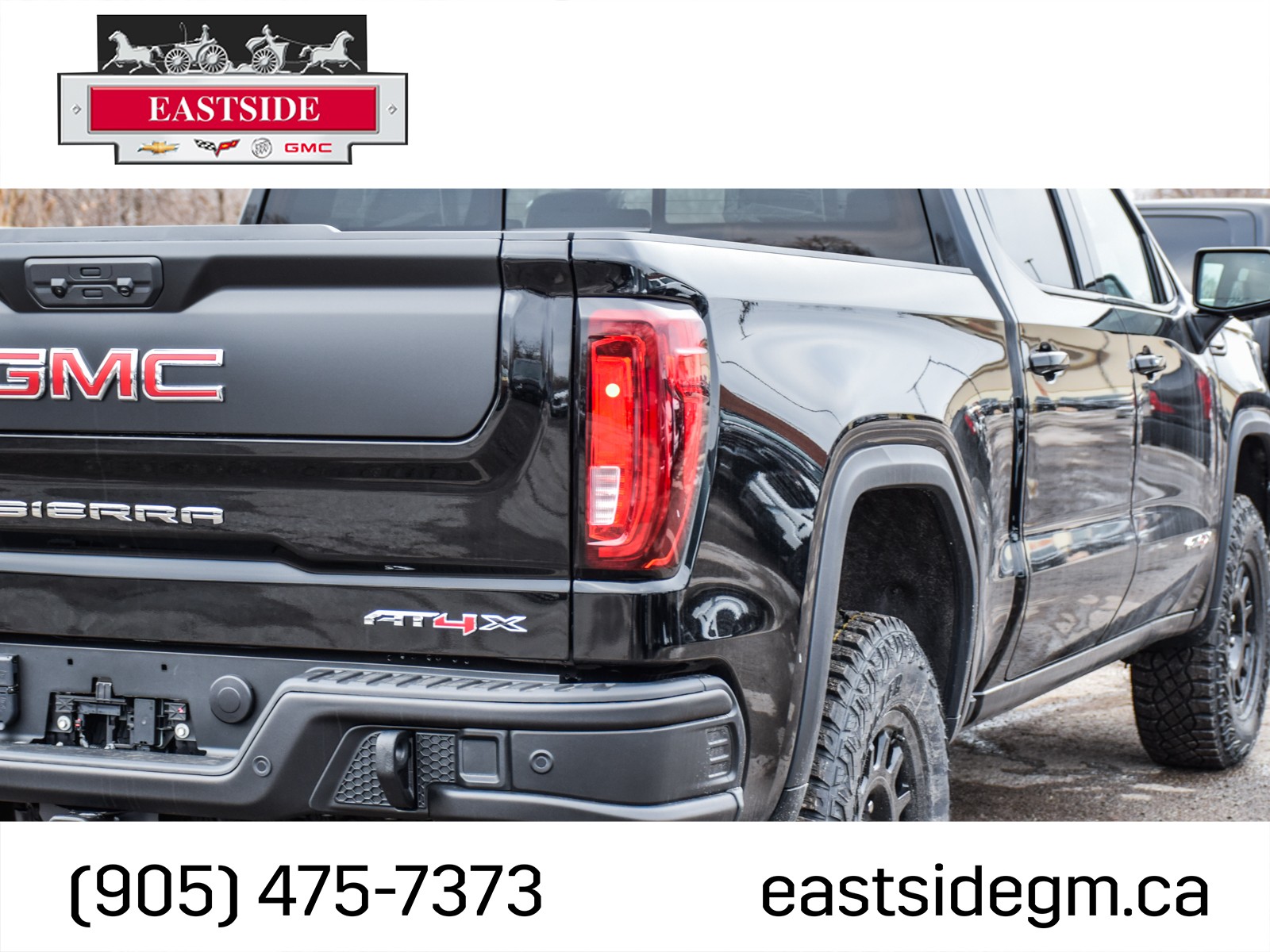 2024 GMC Sierra 1500 AT4X, 多伦多, 全款车