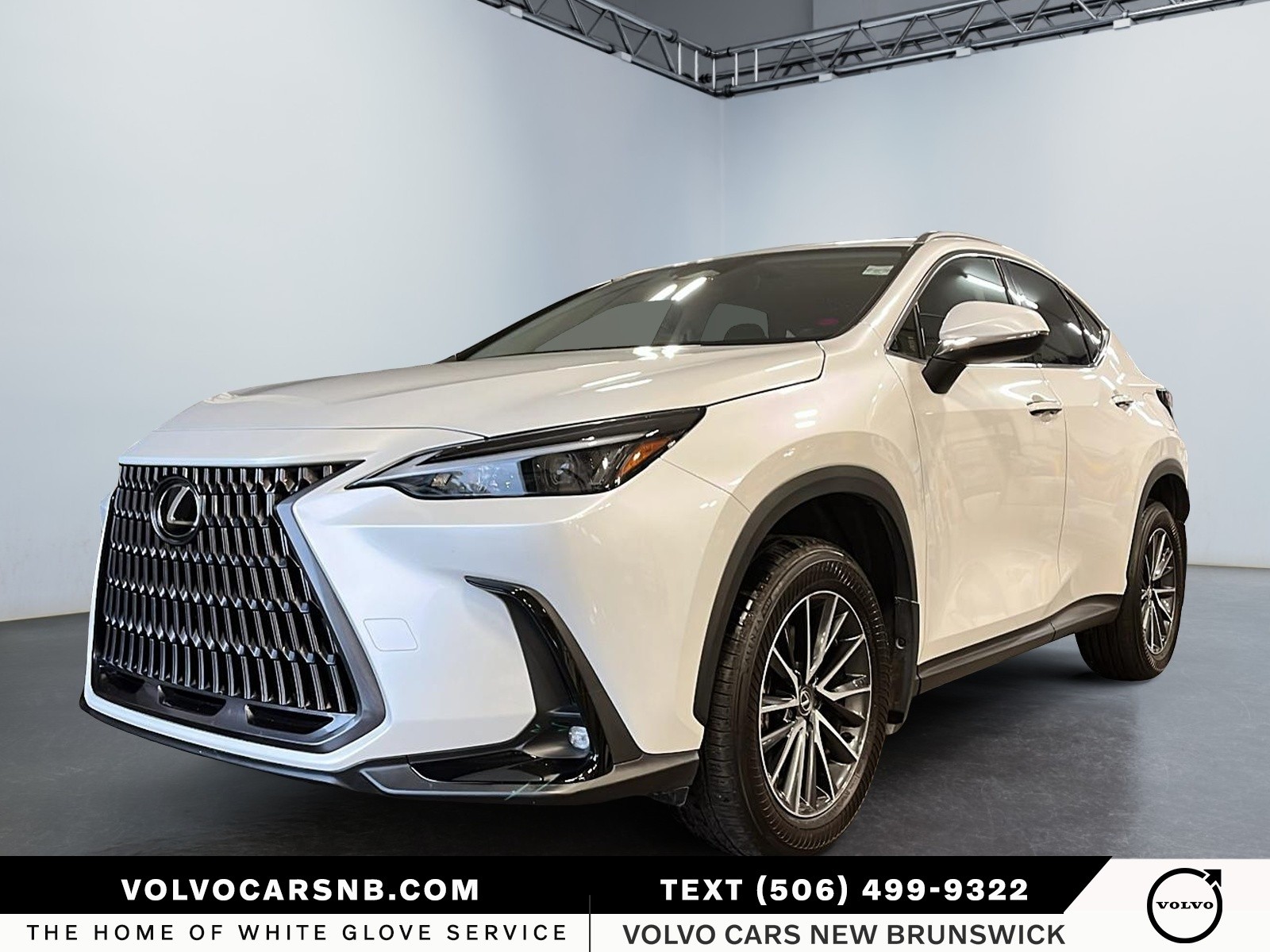 2024 Lexus NX 450h+  