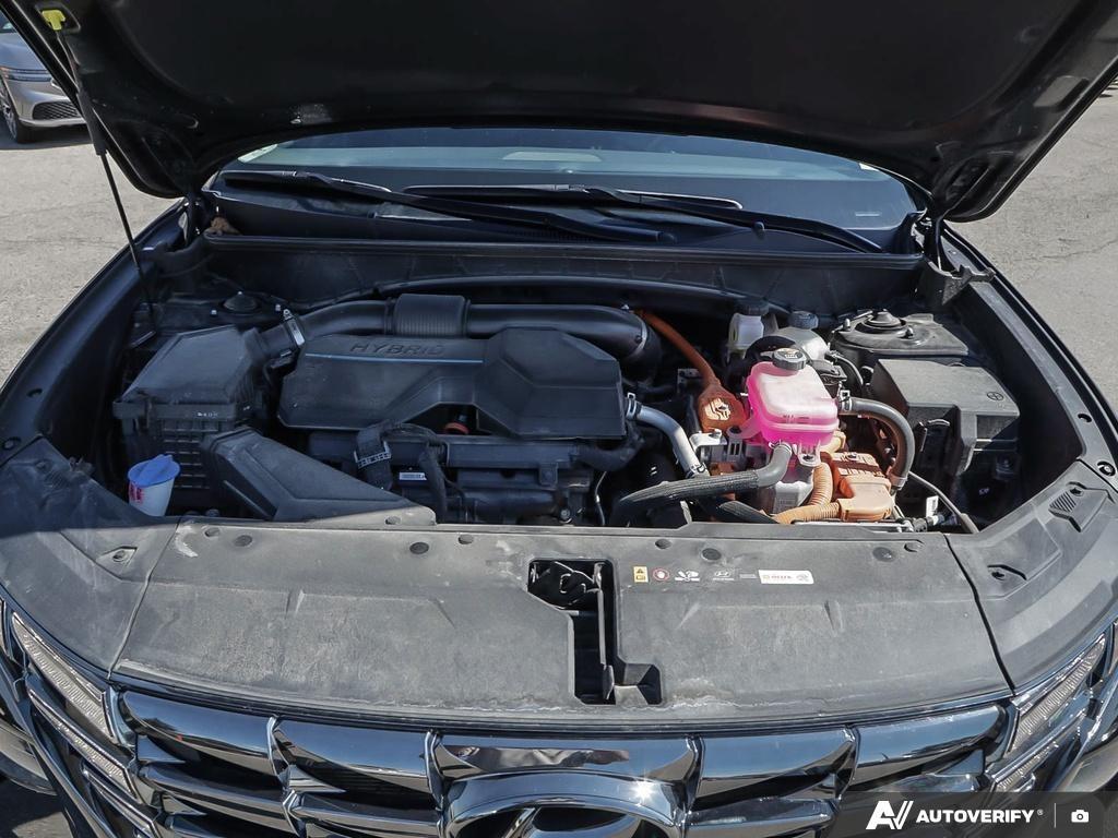 used 2024 Hyundai Tucson Hybrid car, priced at $37,097