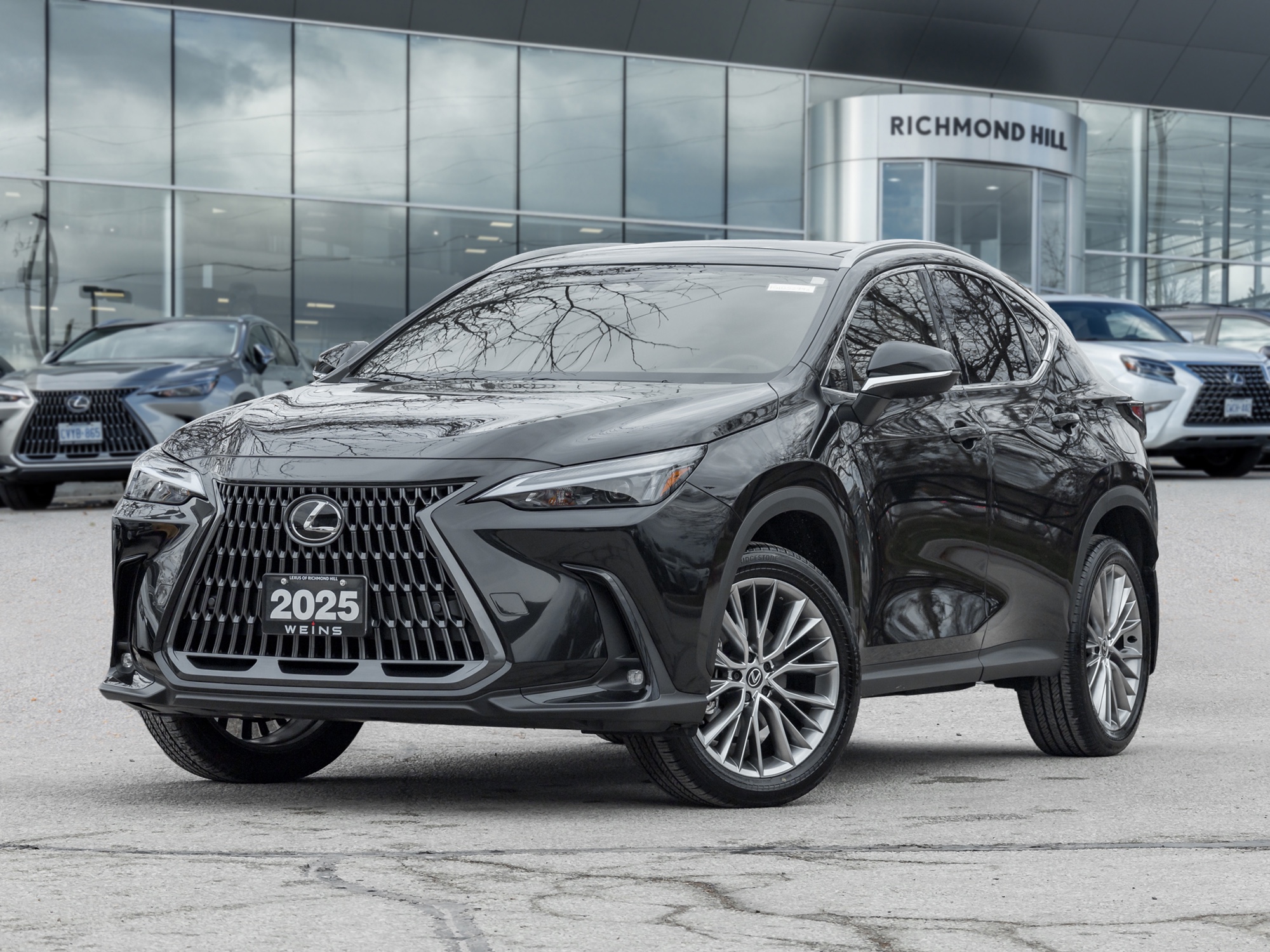 2025 Lexus NX