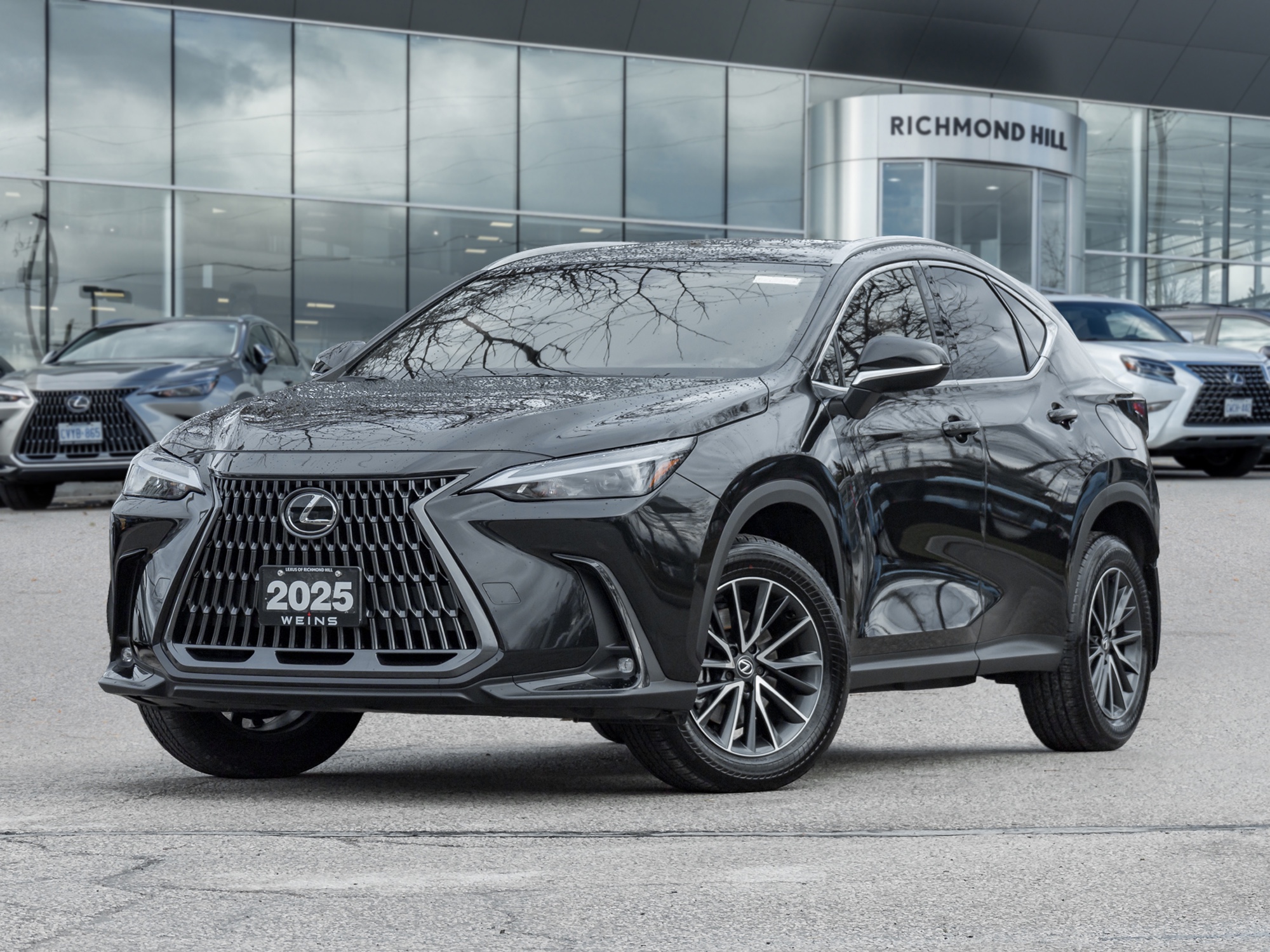 2025 Lexus NX