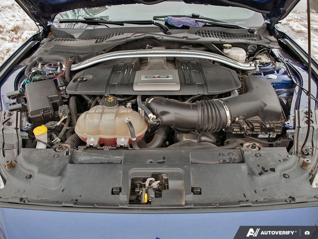 used 2019 Ford Mustang car, priced at $42,597