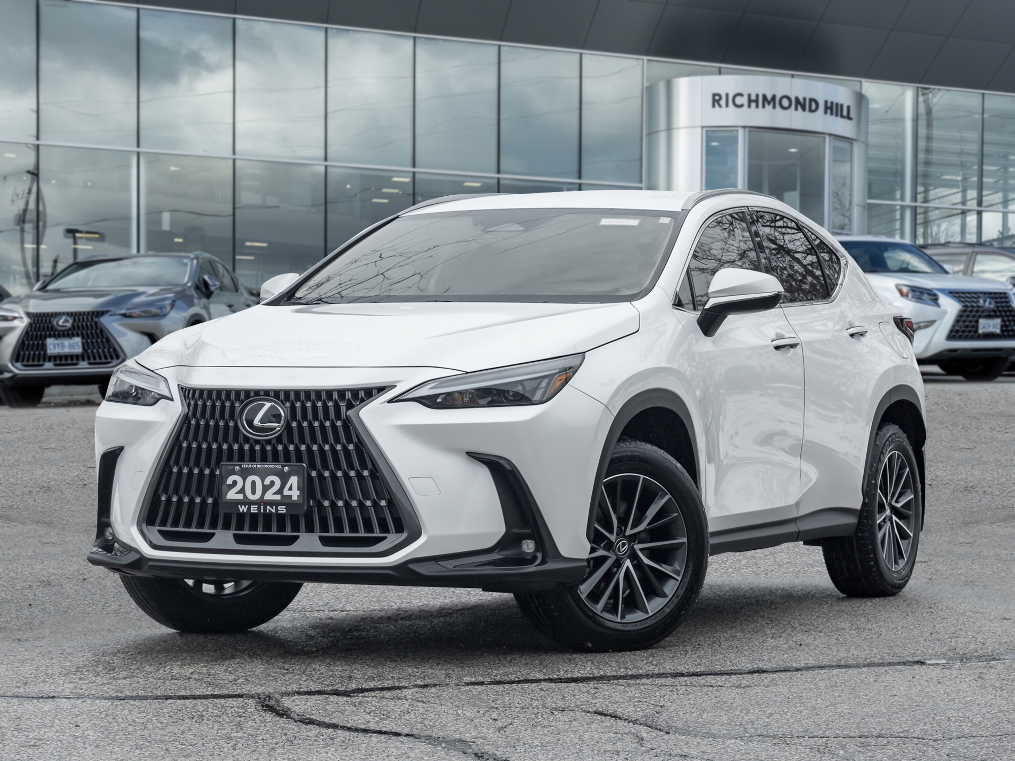 Lexus NX 250 AWD 2025