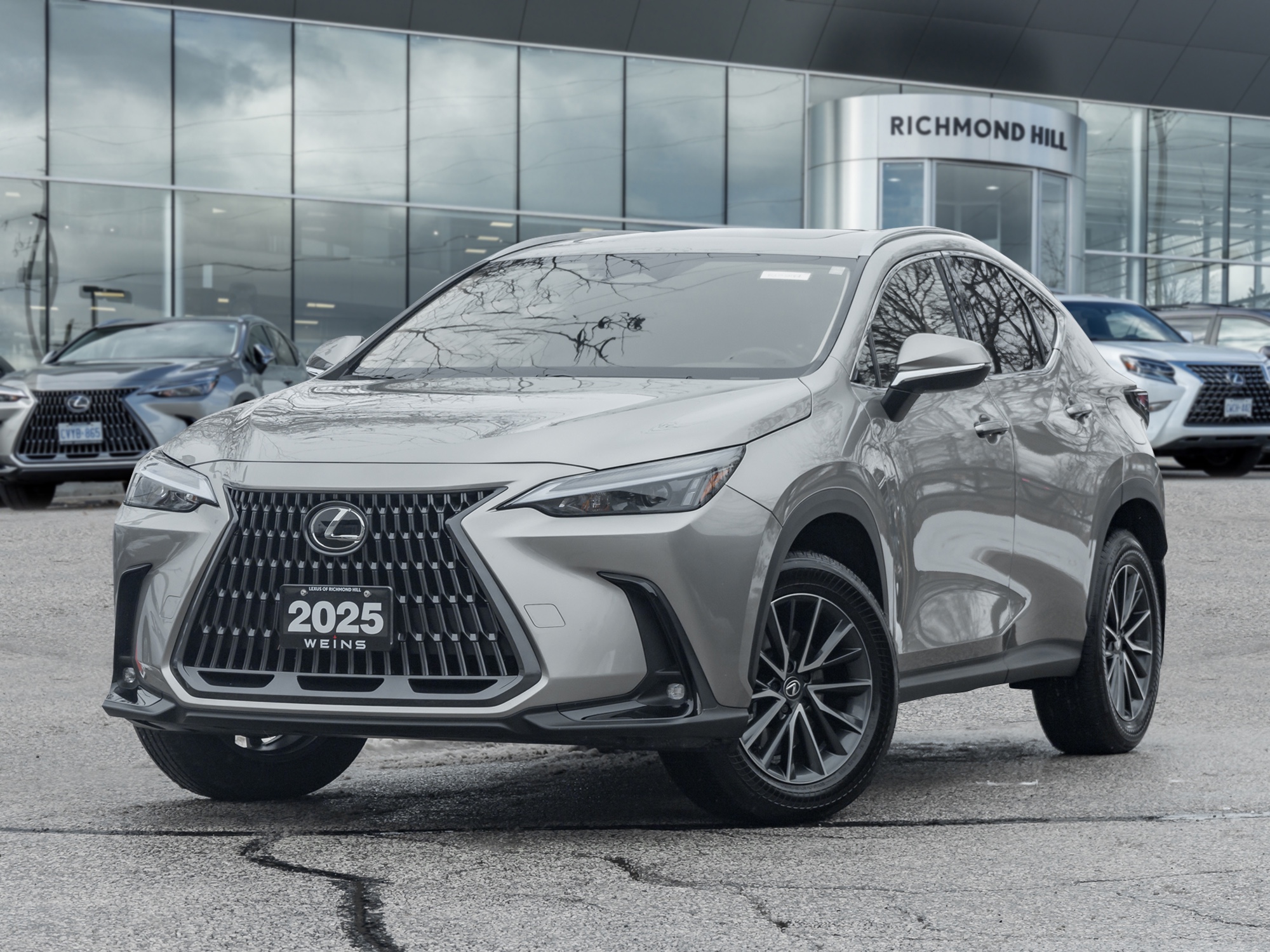 2025 Lexus NX