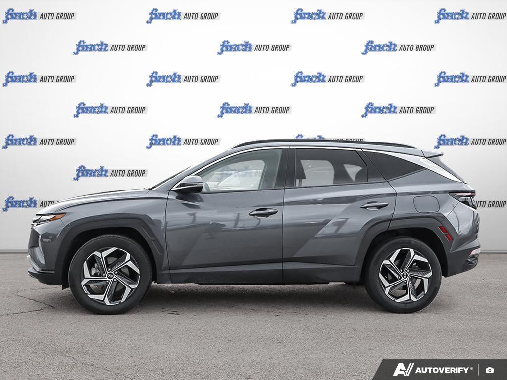 used 2024 Hyundai Tucson Hybrid car, priced at $39,597
