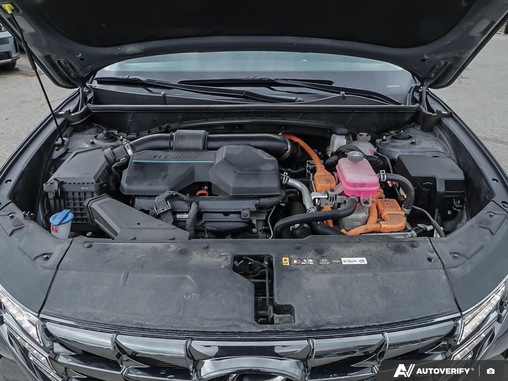 used 2024 Hyundai Tucson Hybrid car, priced at $39,597