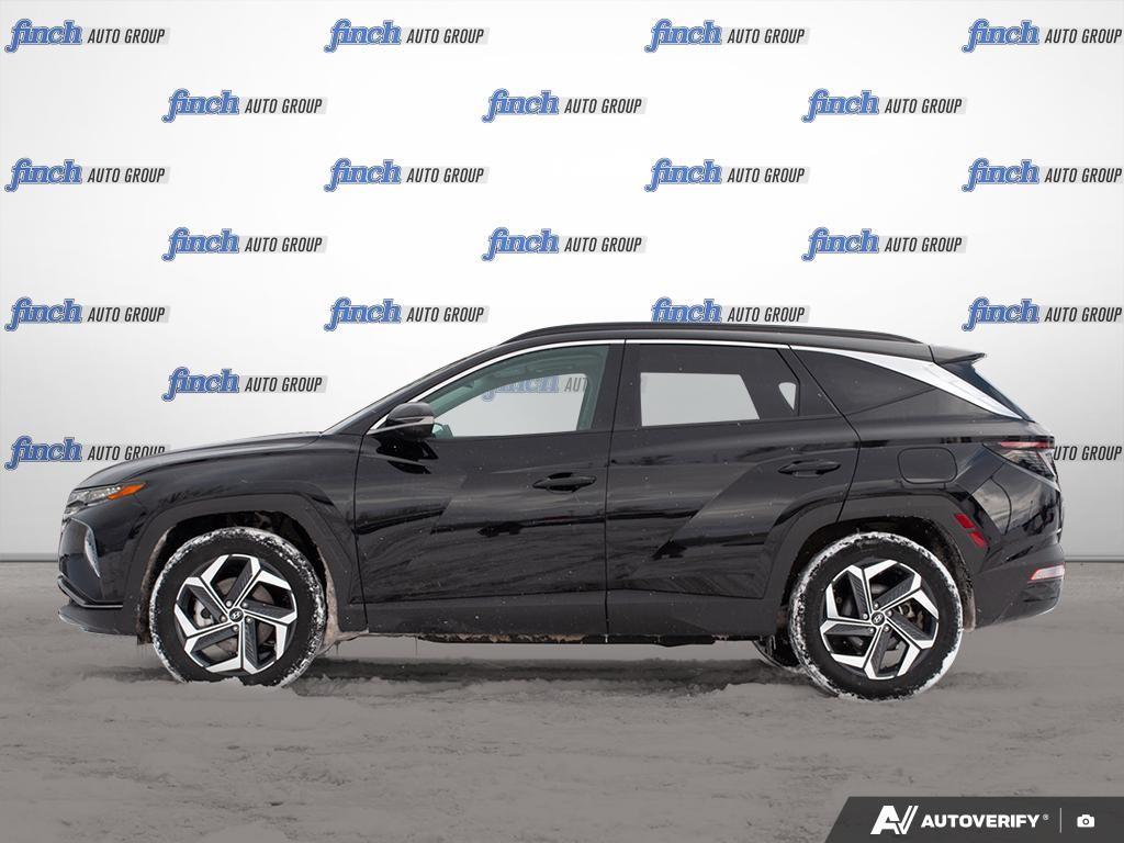 used 2024 Hyundai Tucson Hybrid car, priced at $39,597