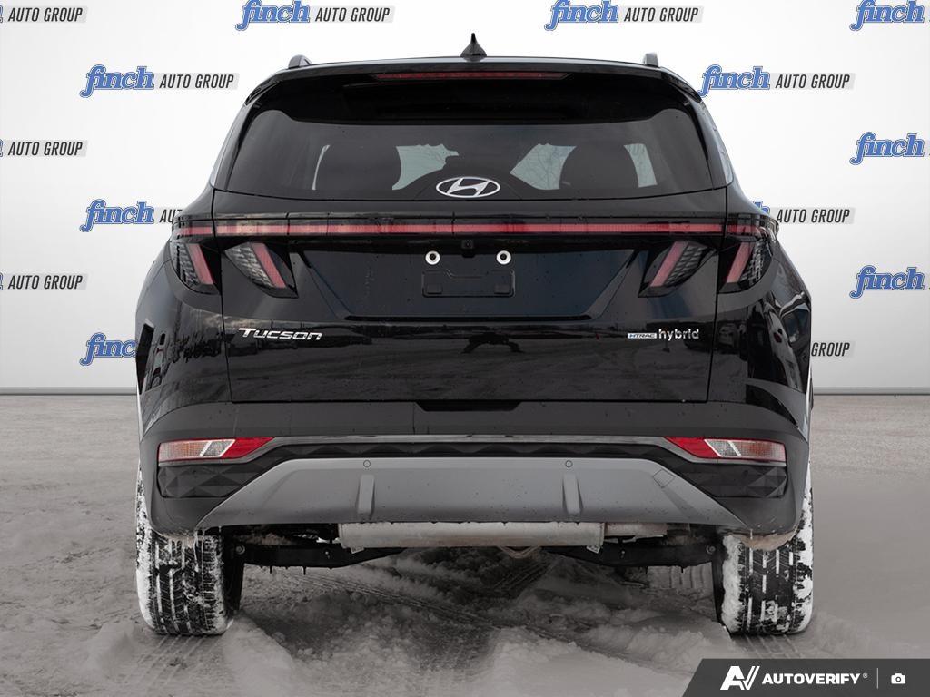 used 2024 Hyundai Tucson Hybrid car, priced at $39,597