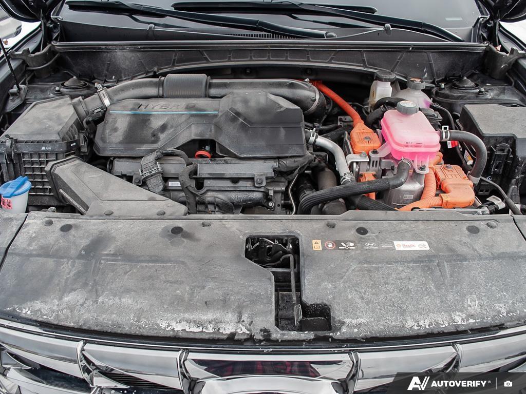 used 2024 Hyundai Tucson Hybrid car, priced at $39,597