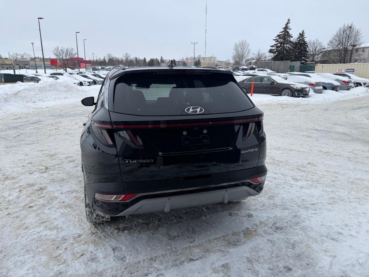 used 2022 Hyundai Tucson Hybrid car, priced at $31,597