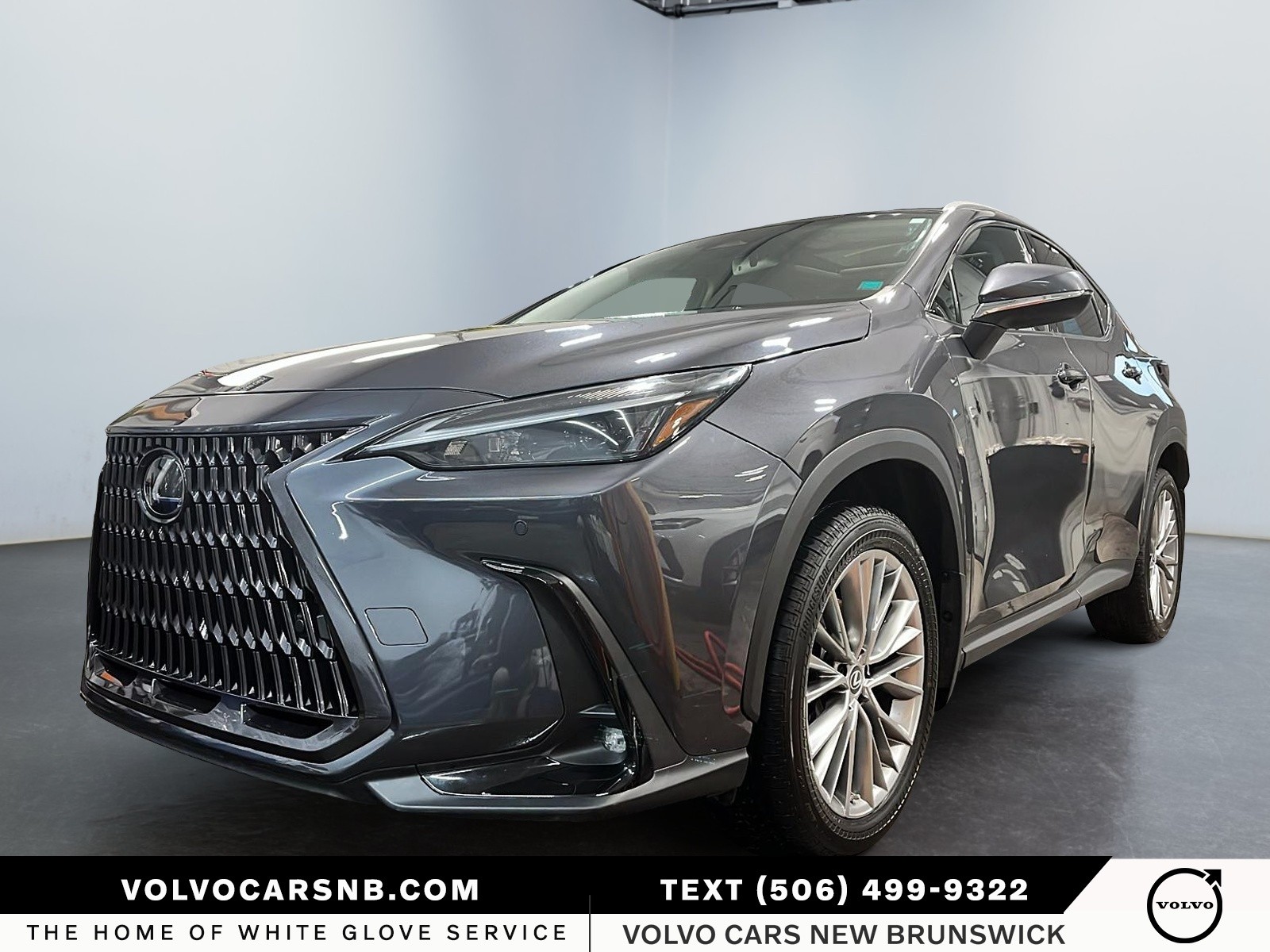 2022 Lexus NX 350  