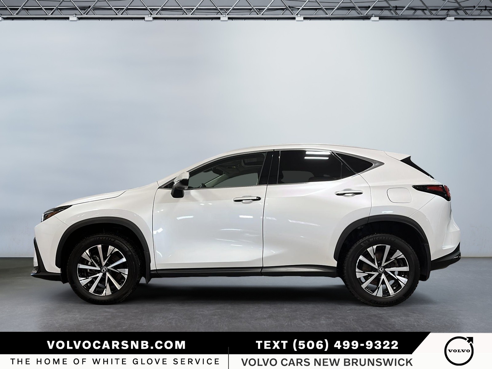 2024 Lexus NX 350h 