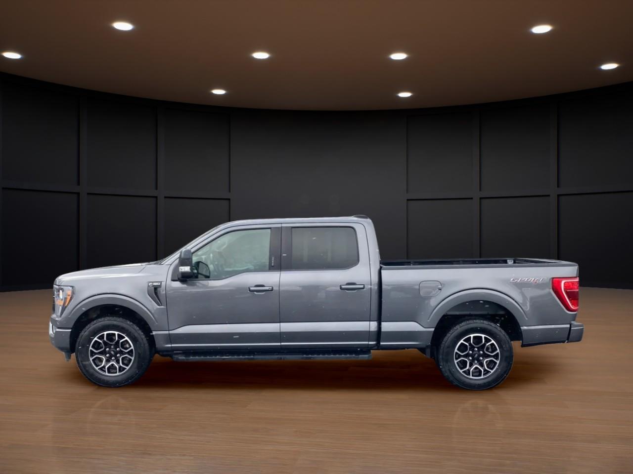 Ford F-150 XLT SuperCrew 4WD 2023