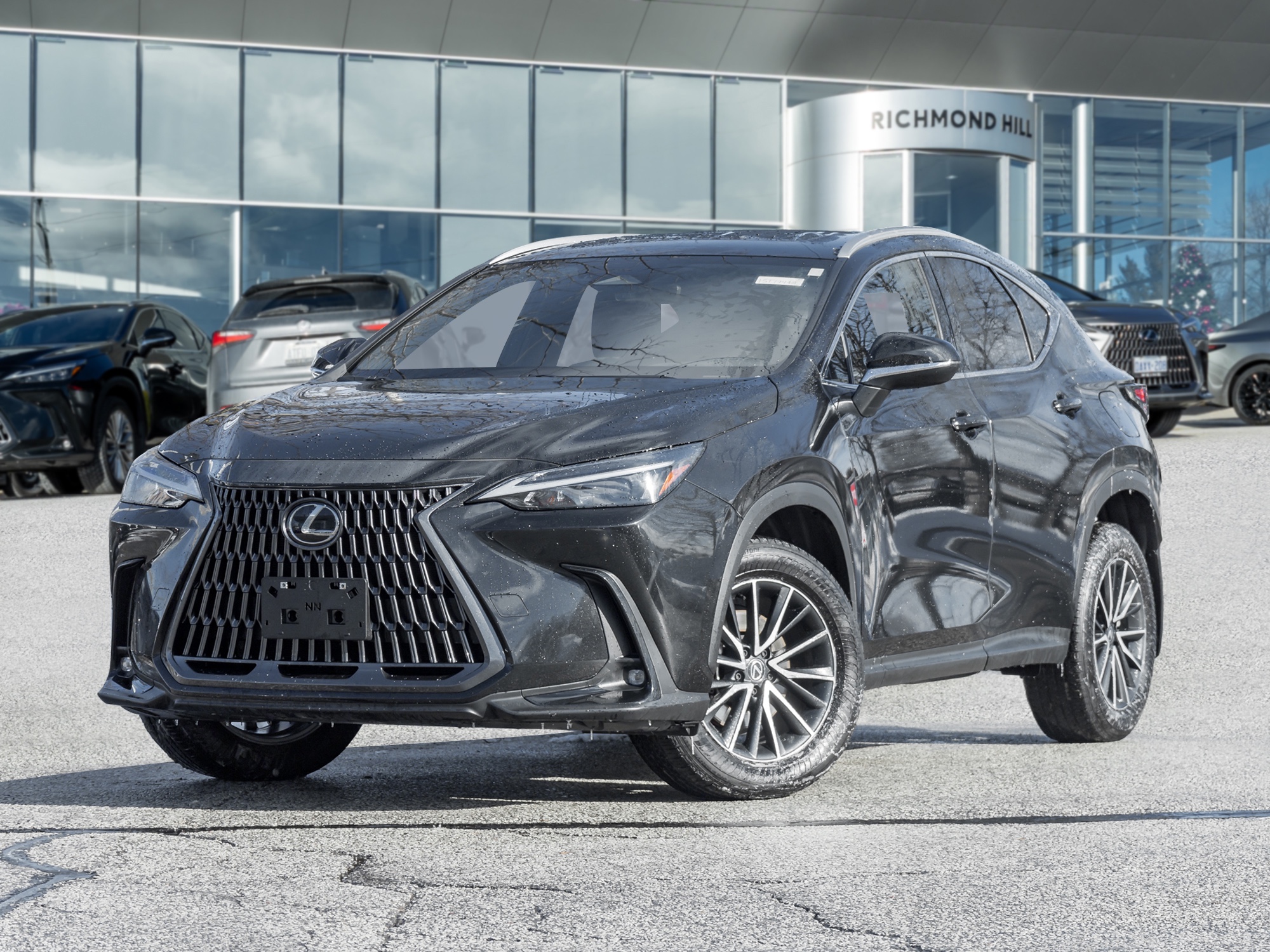 2024 Lexus NX