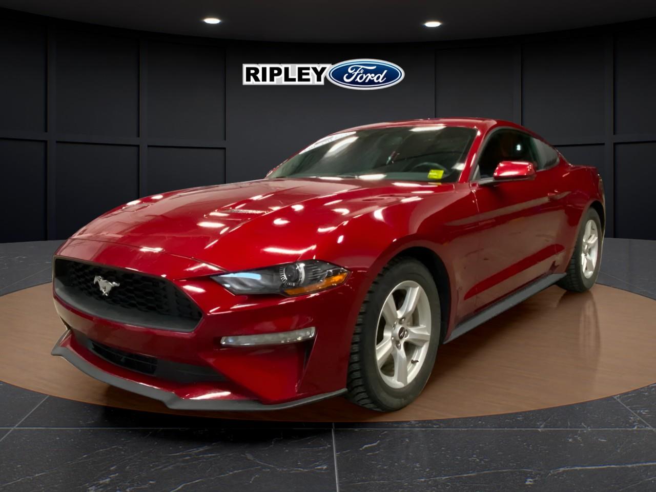 Ford Mustang EcoBoost Coupe RWD 2019