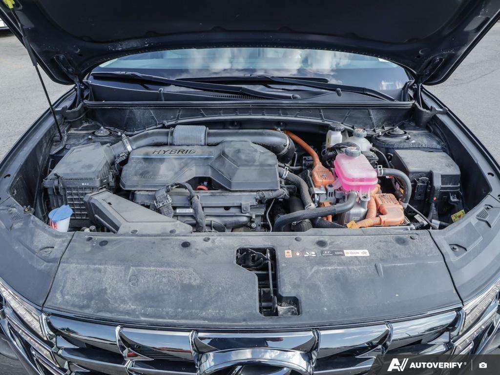 used 2023 Hyundai Tucson Hybrid car, priced at $32,097