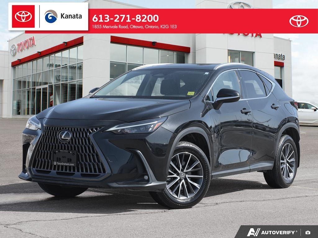 2025 Lexus NX