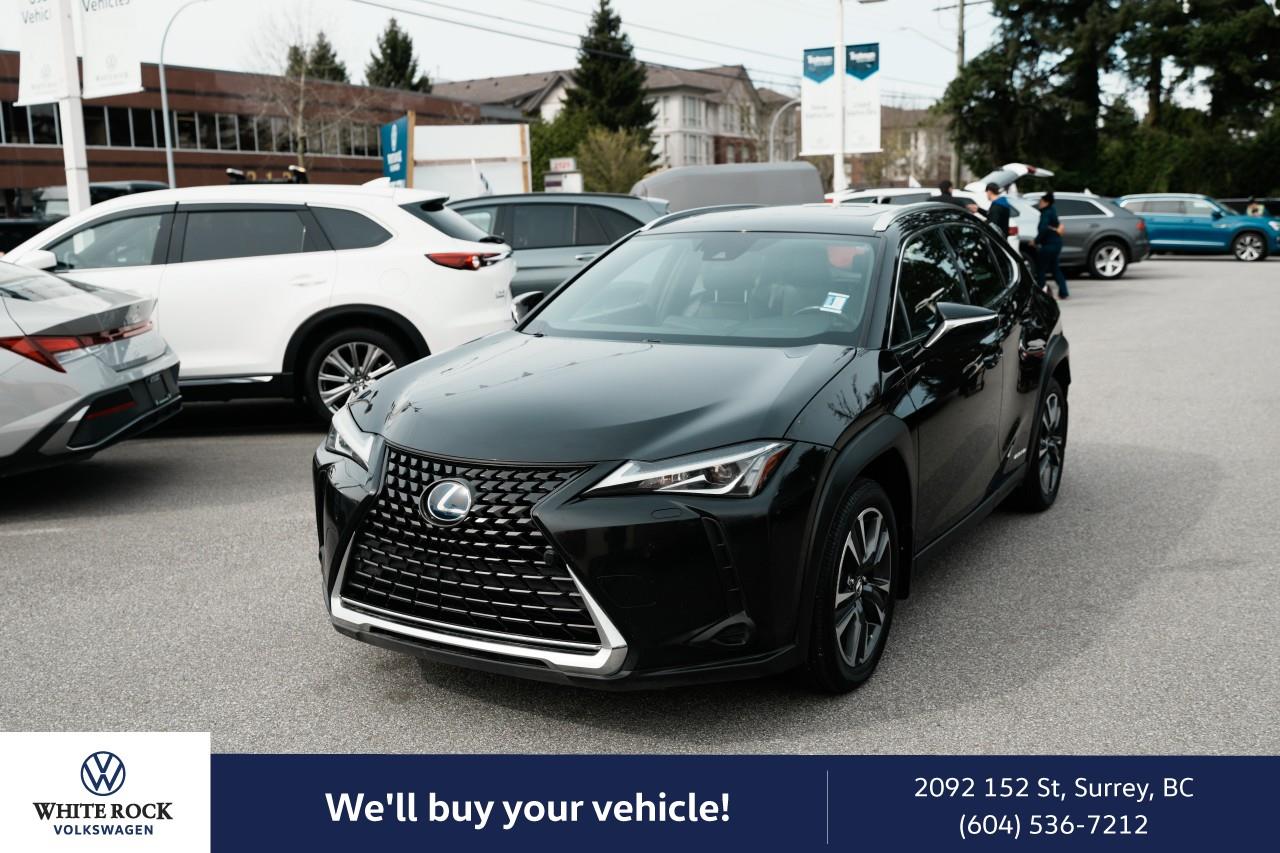 2019 Lexus UX Hybrid 250h AWD