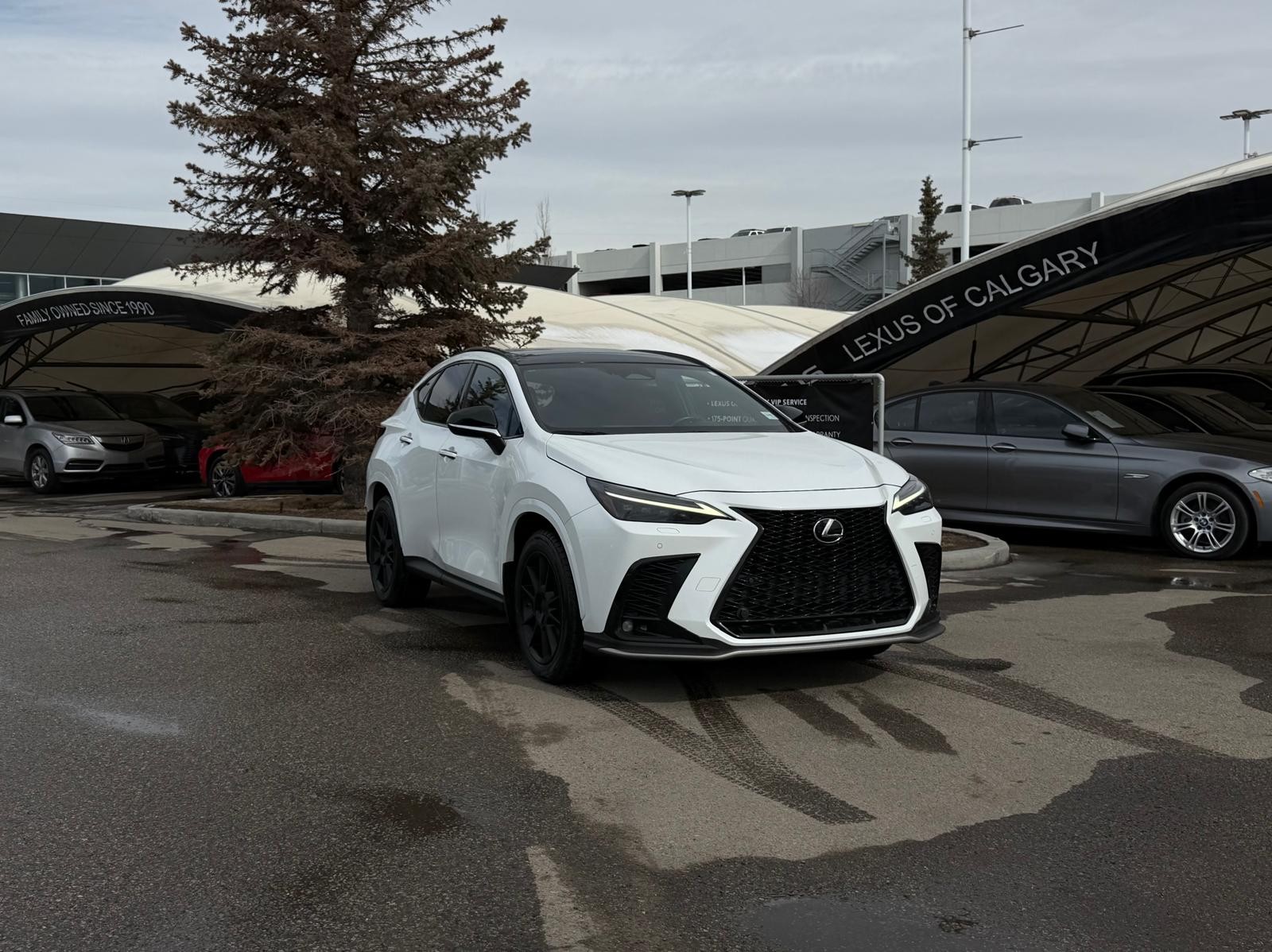 Lexus NX 350 AWD