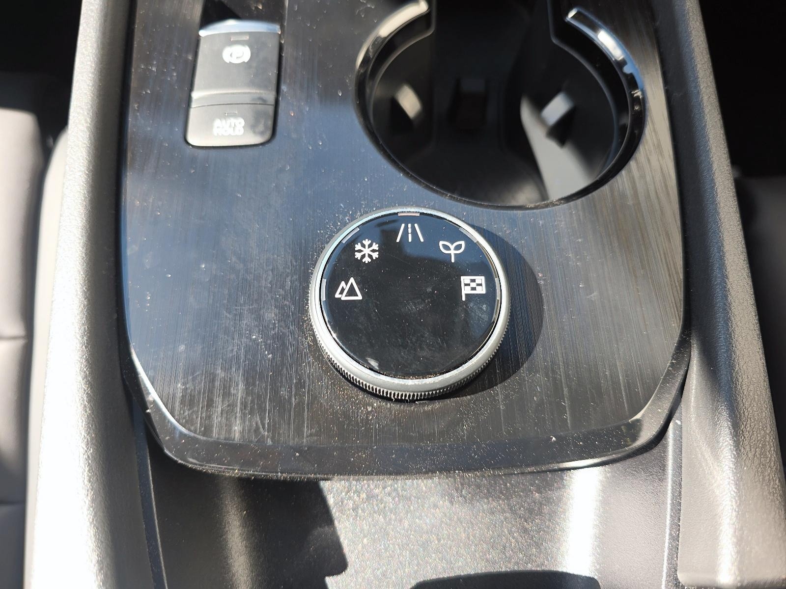 2025 Nissan Rogue Midnight Edition