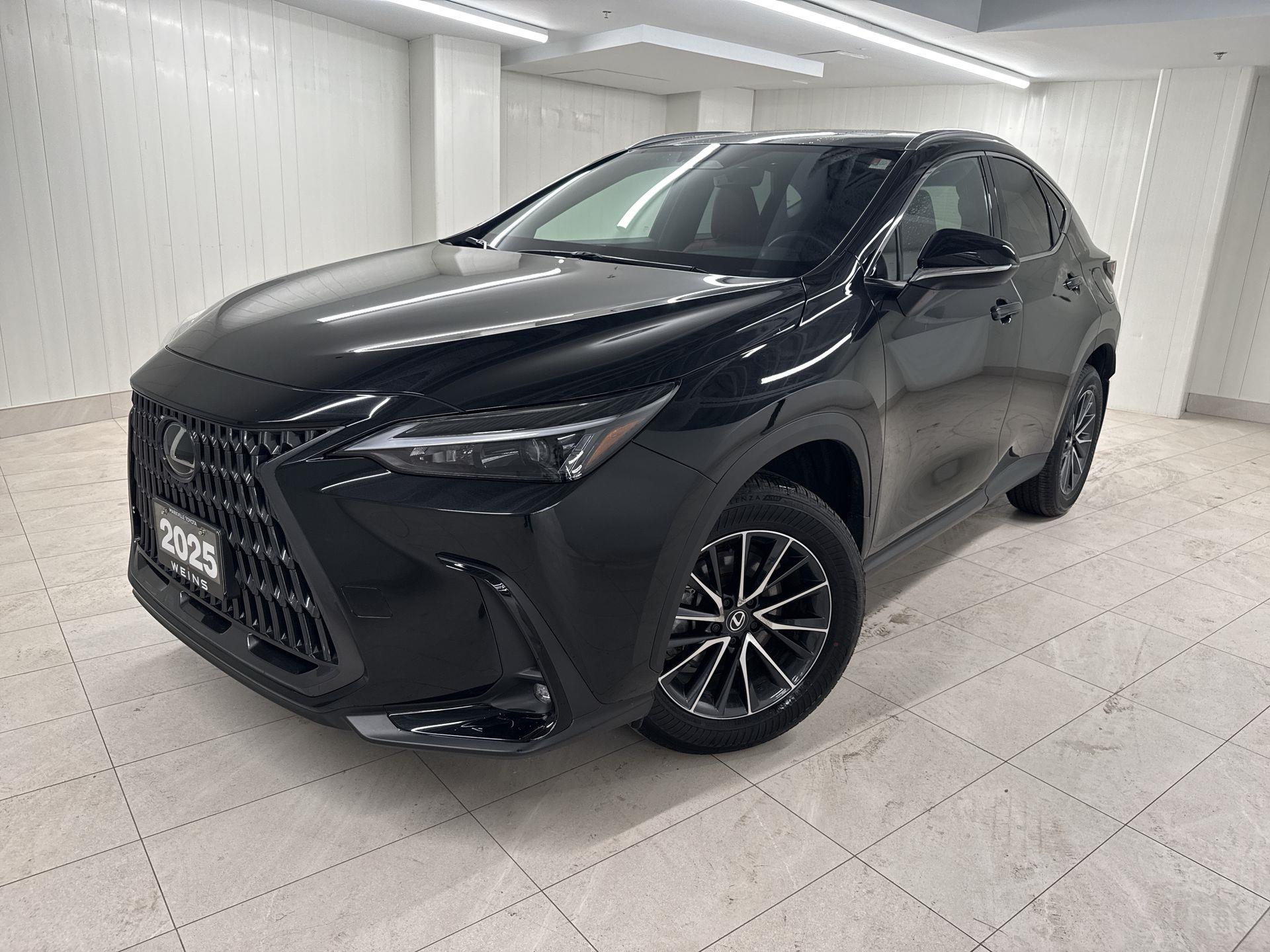 2025 Lexus NX 350 AWD