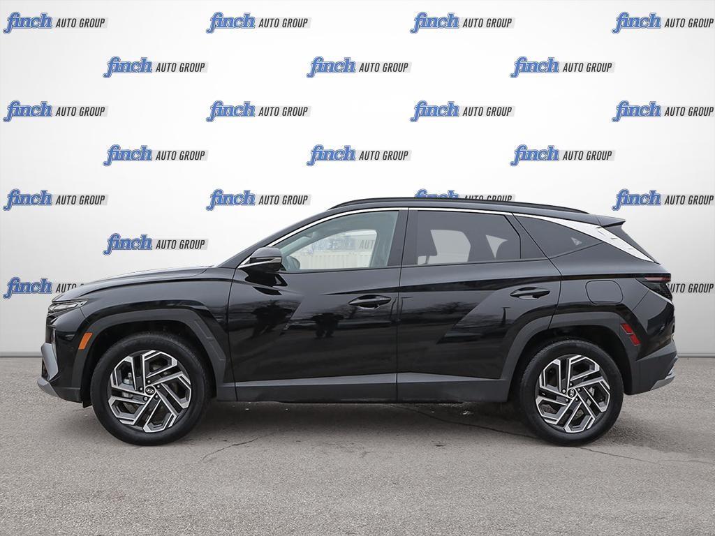 used 2025 Hyundai Tucson Hybrid car, priced at $47,597