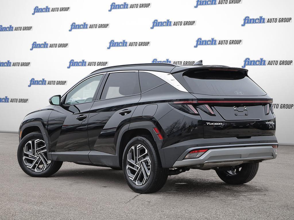 used 2025 Hyundai Tucson Hybrid car, priced at $47,597