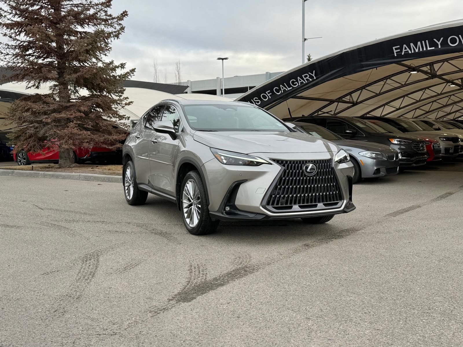 2022 Lexus NX Hybrid 350h AWD