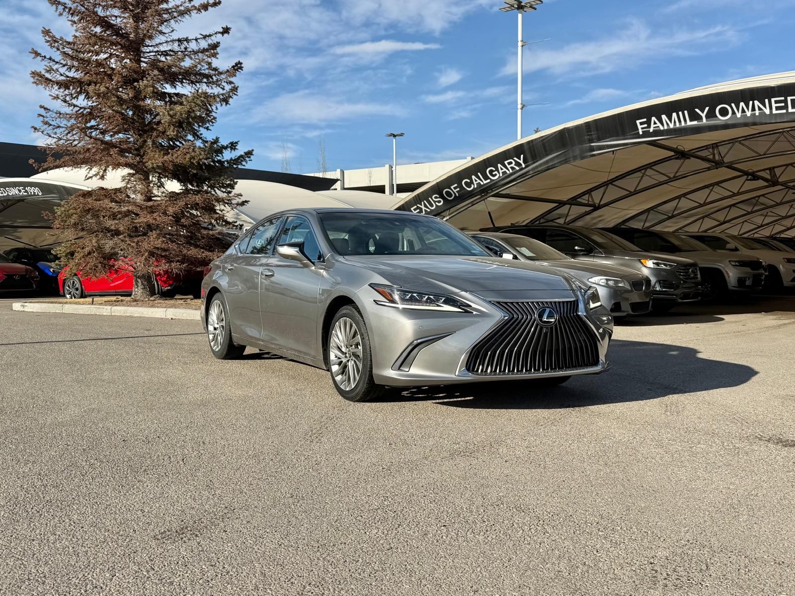 2019 Lexus ES