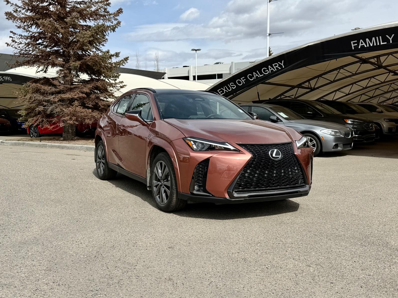 2025 Lexus UX Hybrid 300h AWD