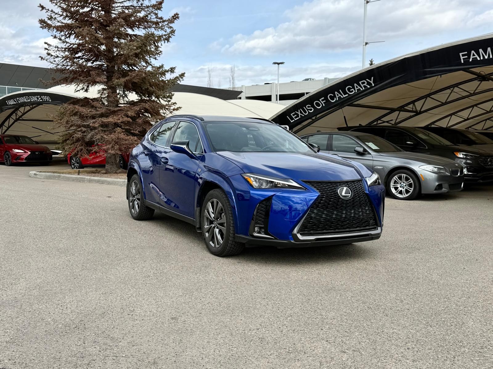 2025 Lexus UX Hybrid 300h AWD