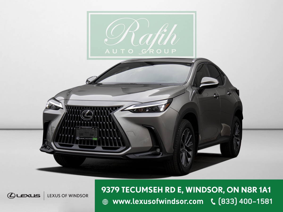 2025 Lexus NX