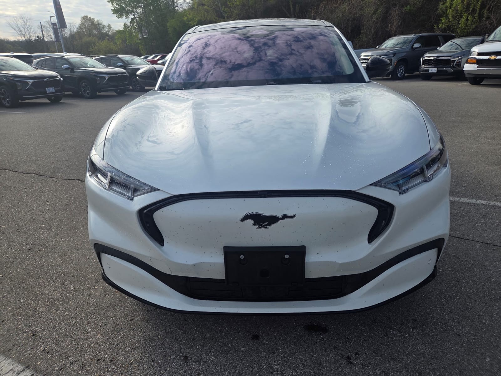 used 2021 Ford Mustang Mach-E car, priced at $28,995