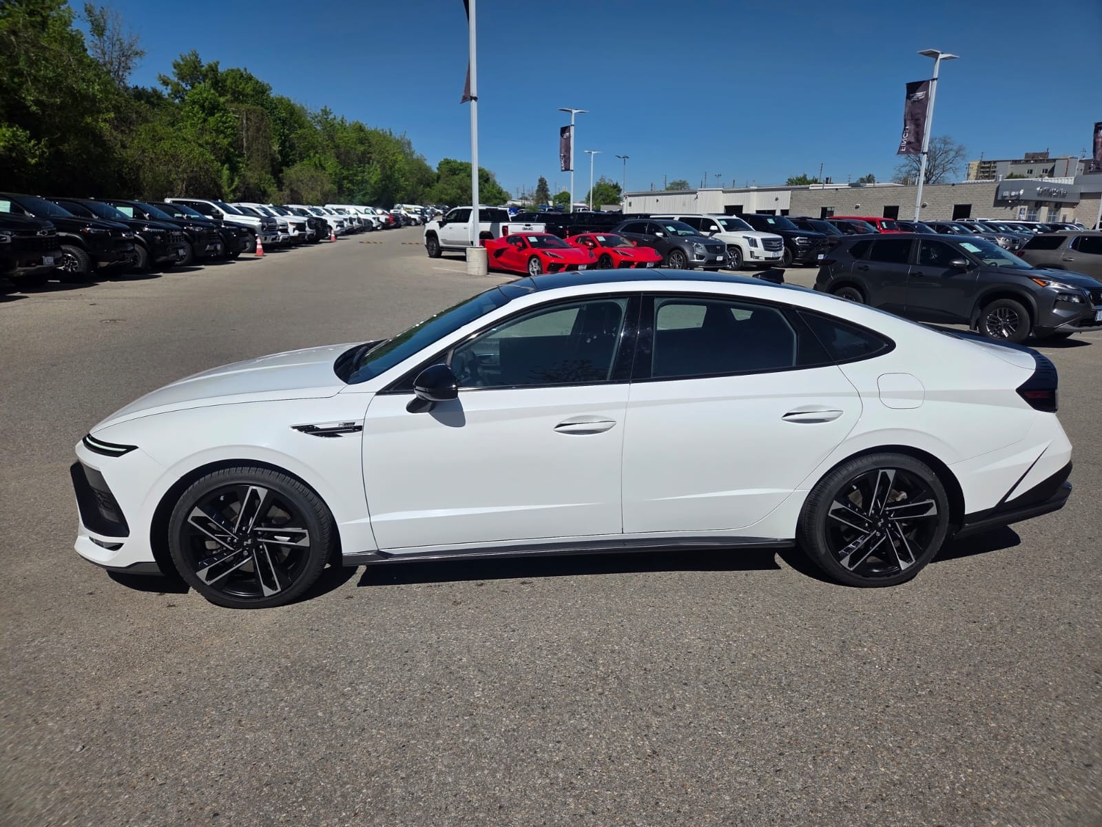 used 2024 Hyundai Sonata car, priced at $34,328