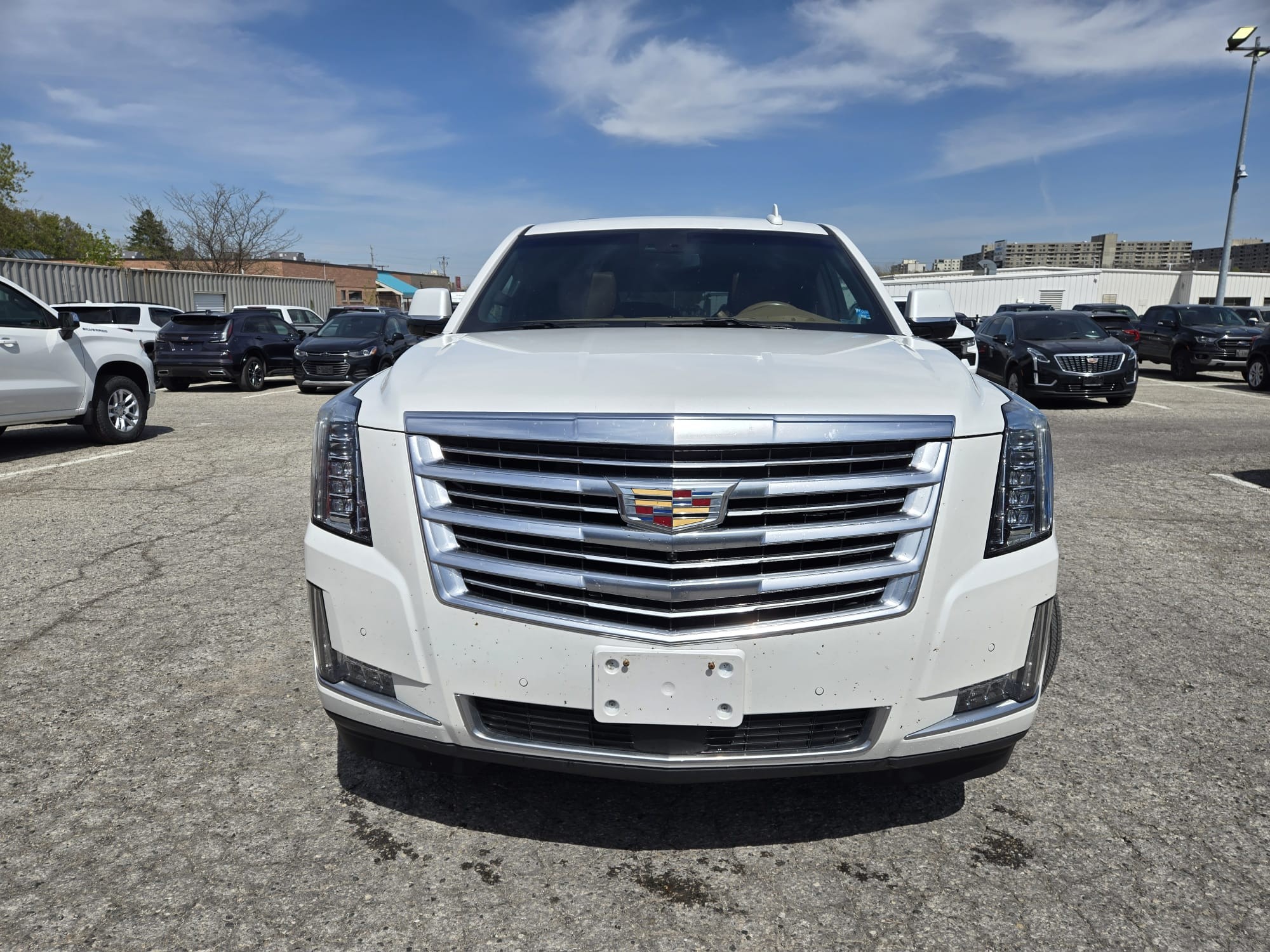 used 2017 Cadillac Escalade ESV car, priced at $39,995