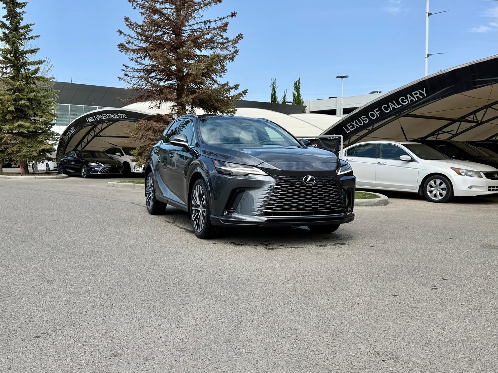 2024 Lexus RX 350 AWD