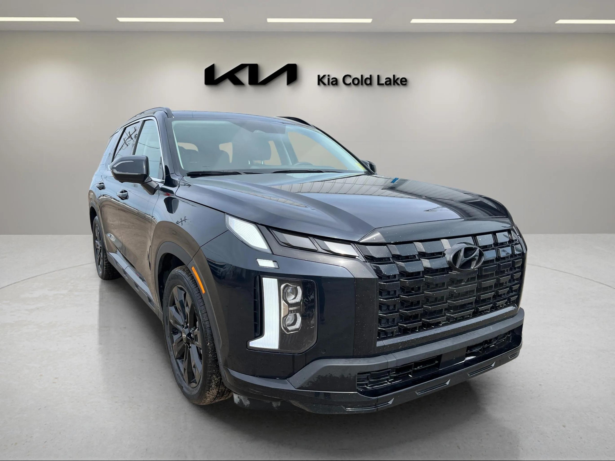 2025 Hyundai Palisade SUV / Crossover 8-Speed Automatic