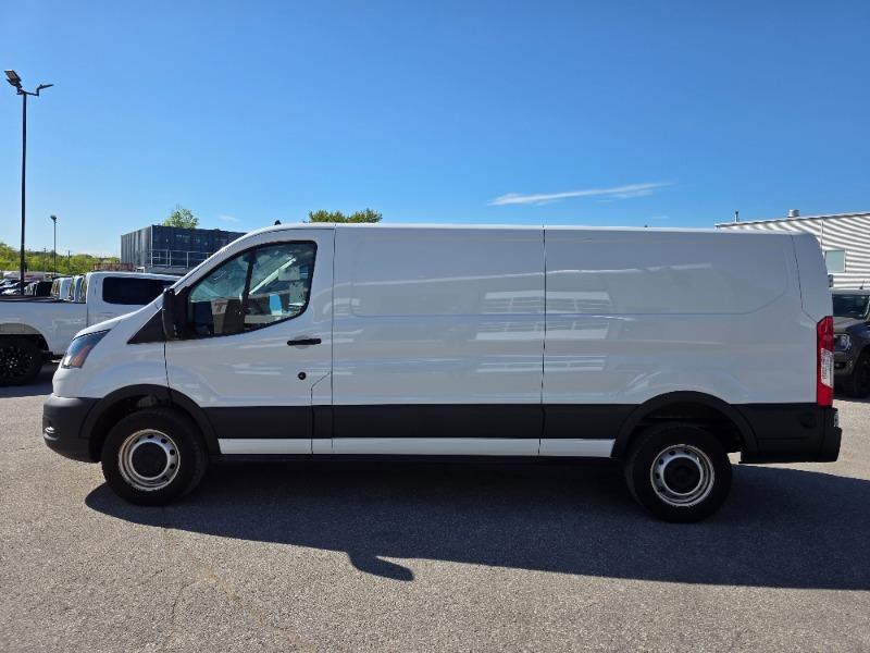 2024 Ford Transit Cargo