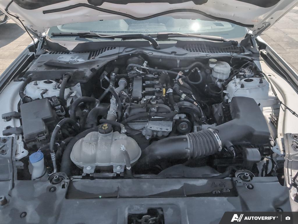 used 2021 Ford Mustang car, priced at $26,900