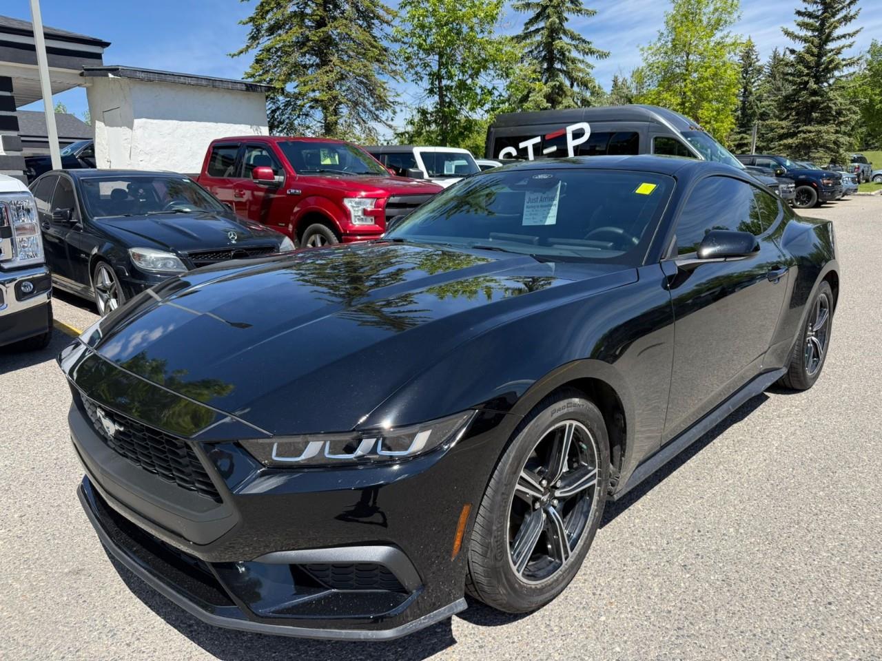 2024 Ford Mustang EcoBoost Fastback RWD